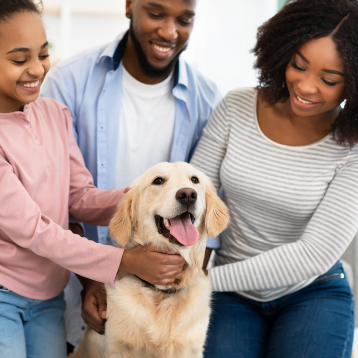 Happy family enjoying time with their golden retriever in a cozy, modern living room setting.