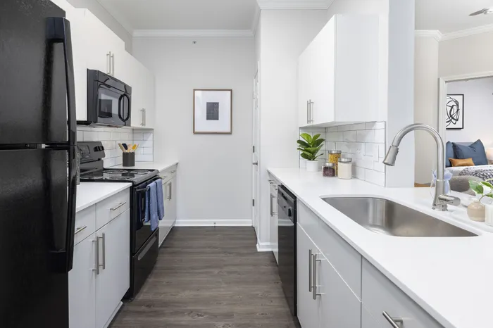 Sleek modern kitchen with stylish black and white appliances, glossy countertops, and elegant cabinetry, perfect for a contemporary lifestyle.