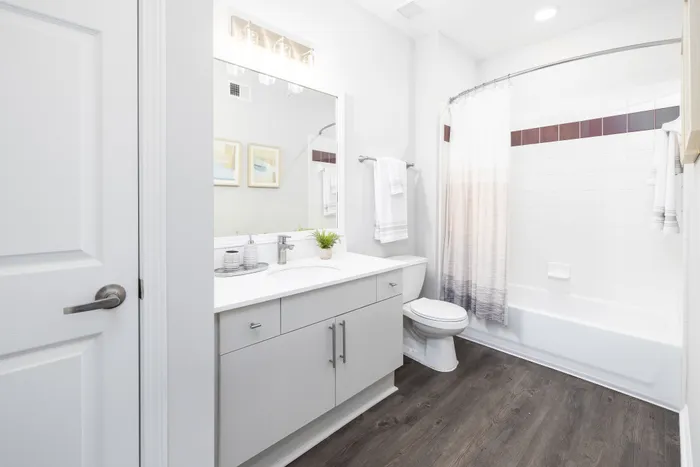 Sleek modern bathroom with elegant vanity, large mirror, and inviting bathtub, complemented by stylish wood flooring.