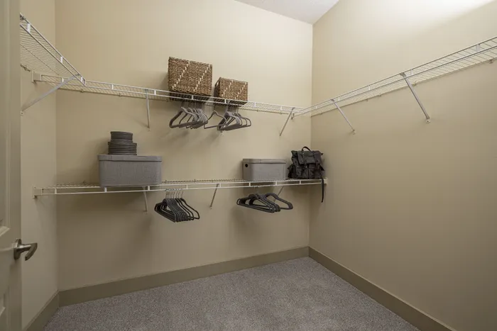 Spacious walk-in closet with organized shelving and ample storage space, highlighted by modern wire racks and neatly arranged hangers.