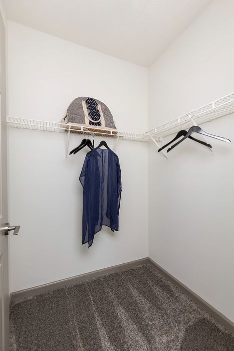 Bright and spacious walk-in closet with plush carpet, featuring ample shelving and hanging space.