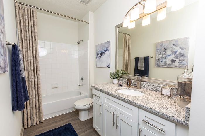 Elegant bathroom with modern amenities, featuring a granite countertop, sleek fixtures, and soothing artwork.