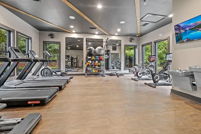 Modern fitness studio with diverse workout equipment, featuring colorful kettlebells, a boxing bag, and sleek exercise bikes in a bright, airy space with large windows.