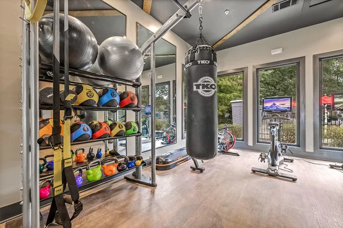 Modern fitness studio with diverse workout equipment, featuring colorful kettlebells, a boxing bag, and sleek exercise bikes in a bright, airy space with large windows.