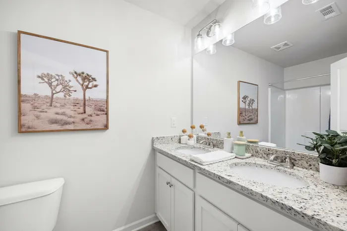 Modern bathroom with sleek granite countertop, twin sinks, and contemporary fixtures, adorned with a framed desert landscape picture.