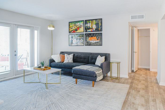 Bright and modern living room with a sleek gray sofa, abstract art, and elegant decor. Features natural light and contemporary design.