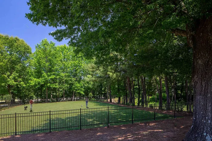 Charming outdoor space with lush greenery, perfect for dog walking and relaxation, enclosed by a sleek black fence.