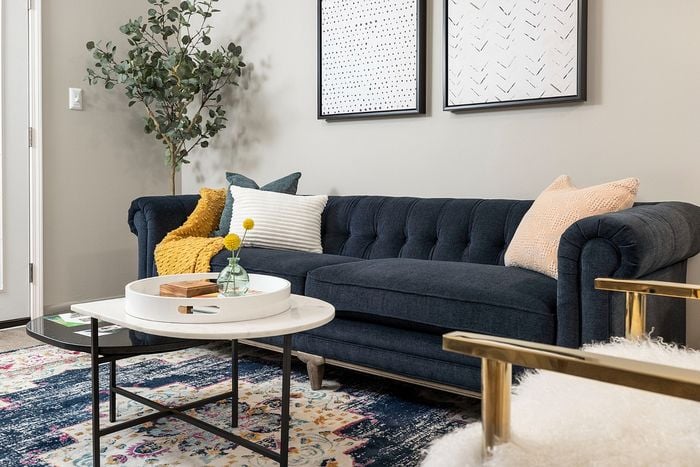 Chic modern living room with a plush navy sofa, vibrant cushions, elegant decor, and a stylish coffee table, creating a cozy and inviting atmosphere.