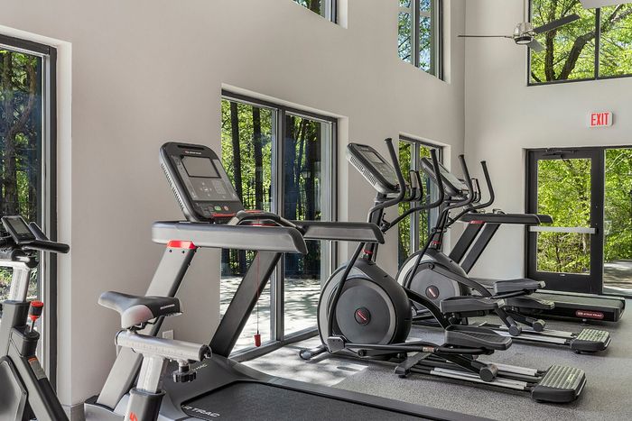 Modern gym with state-of-the-art cardio equipment, large windows for natural light, and scenic outdoor views.