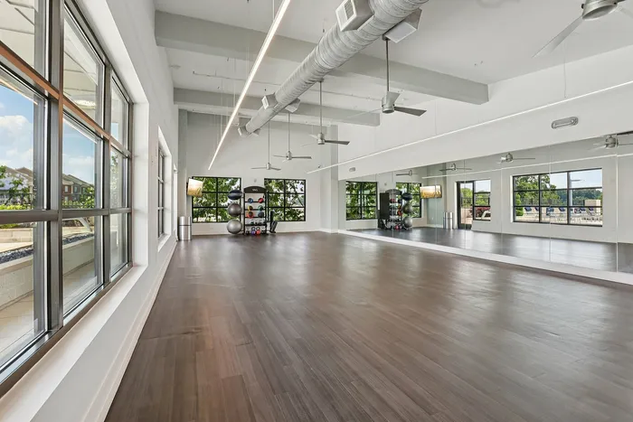 Spacious, sunlit fitness studio with modern equipment, mirrored walls, and scenic views.