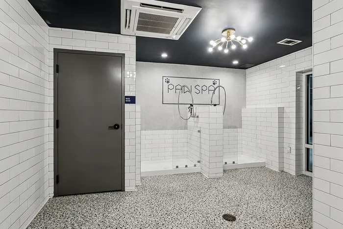 Luxurious pet spa with sleek white tiles, a stylish modern shower area, and unique paw-themed wall art.