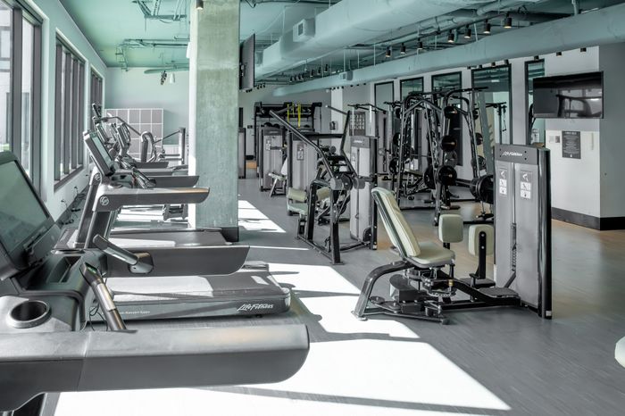 Modern fitness center with state-of-the-art cardio machines and strength training equipment, illuminated by large windows for natural light.