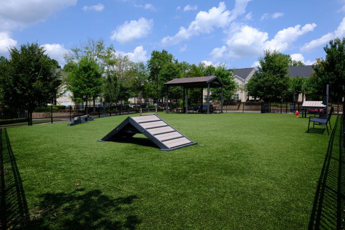 Spacious and inviting dog park with agility equipment, a lush green lawn, and shaded seating area perfect for pet owners.
