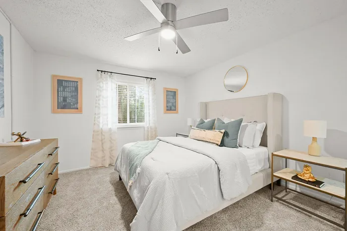Bright and inviting bedroom with plush carpeting, modern decor, and natural light streaming through the window.
