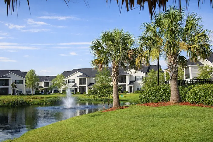 Fountain and Palm Trees