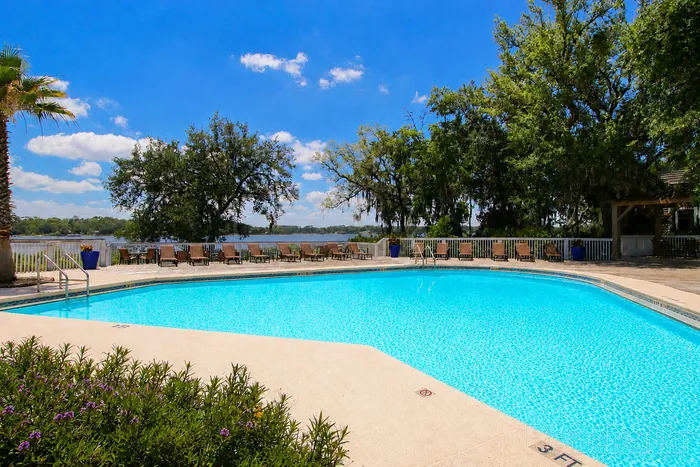 Pool with Water View
