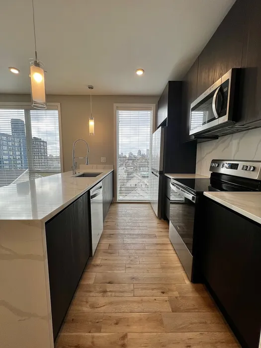 Modern kitchen with sleek black cabinetry, stainless steel appliances, and city skyline view.