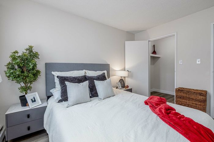 Inviting bedroom with a chic grey headboard, soft pillows, and a vibrant red throw, complemented by a modern side table and greenery for a serene ambiance.