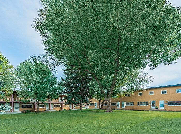 Charming apartment complex with lush green lawns and towering trees creating a tranquil environment.