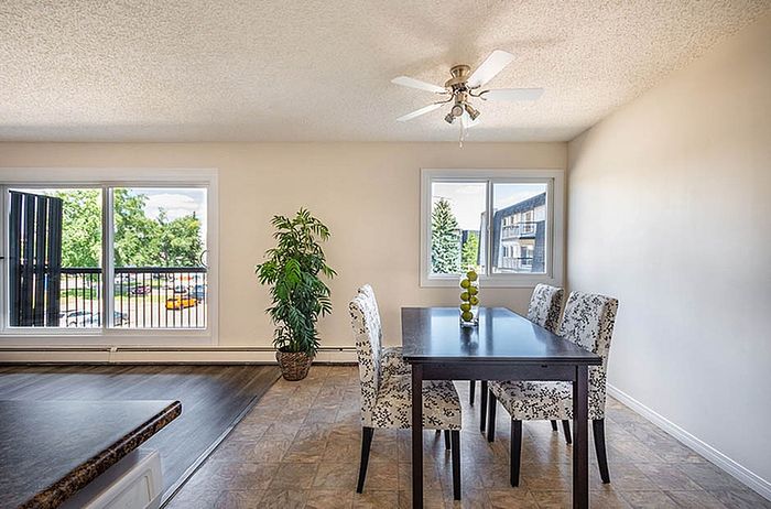 Bright dining area with elegant table and chairs, featuring large windows and a leafy view for a serene dining experience.