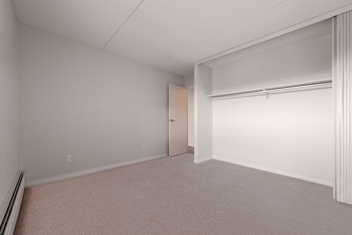 Spacious bedroom with soft carpet flooring and a large open closet in a modern apartment.