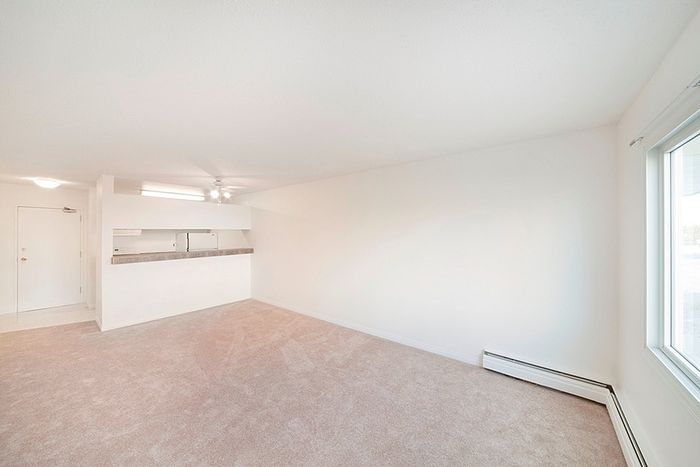 Bright and spacious living area with soft carpeting and large window, featuring a modern open kitchen design.