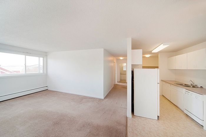 Bright and spacious apartment featuring an open-concept living area, modern kitchen, and ample natural light.