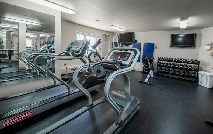 Modern gym featuring state-of-the-art treadmills, a well-organized dumbbell rack, and ample space for an energizing workout.
