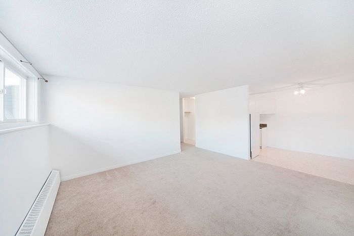 Bright and spacious living area with a cozy carpet, large windows, and open access to the kitchen, offering a perfect blend of comfort and natural light.