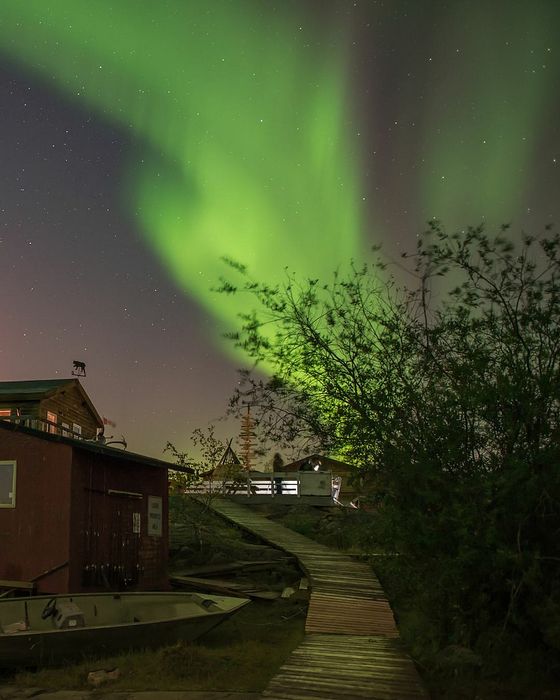 Enchanting rural cabin pathway under breathtaking northern lights, offering serene natural beauty and stargazing opportunities.