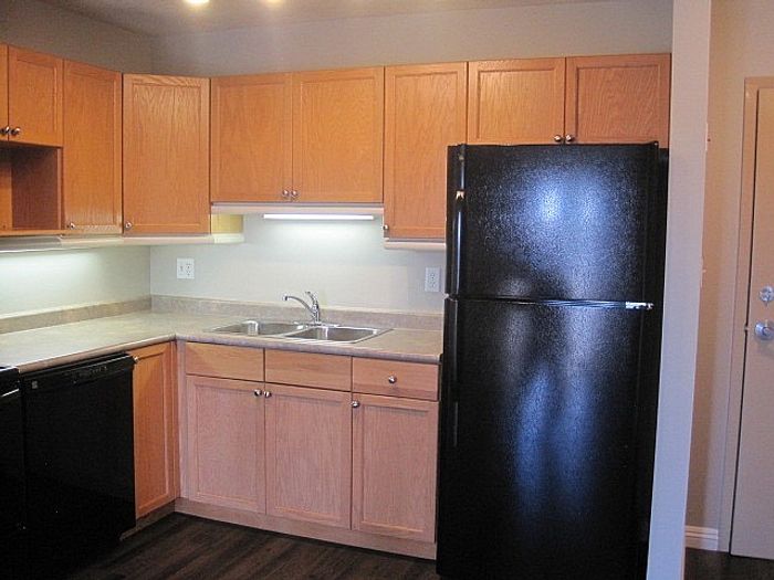Charming kitchen with modern black appliances, sleek countertops, and warm wood cabinetry providing a cozy and functional cooking space.