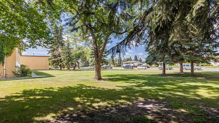 Charming residential view with lush green lawn, mature trees, and serene surroundings, perfect for relaxation and outdoor activities.