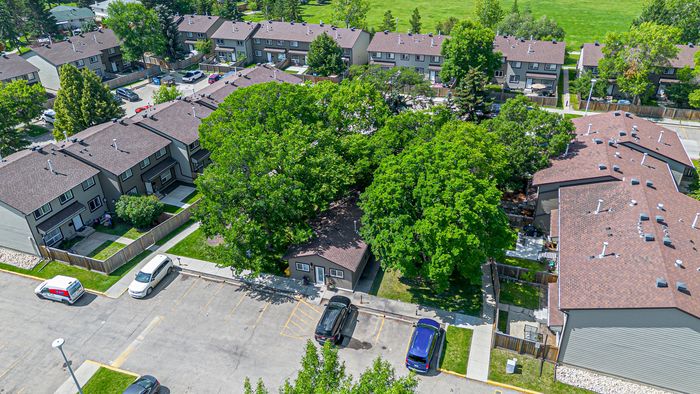 Charming suburban townhouse community with lush green surroundings and ample parking space.
