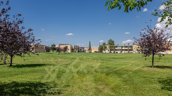 Expansive grassy lawn with charming apartment complex surrounded by lush trees and clear blue skies.