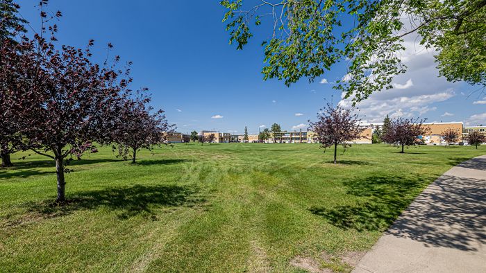 Expansive green park with vibrant trees and community buildings under a clear blue sky.