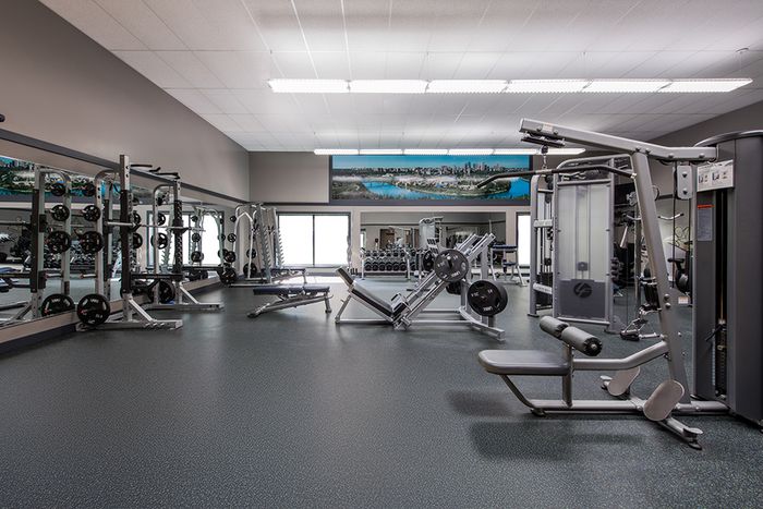 Modern fitness center equipped with high-quality gym machines, providing a bright and spacious workout environment.