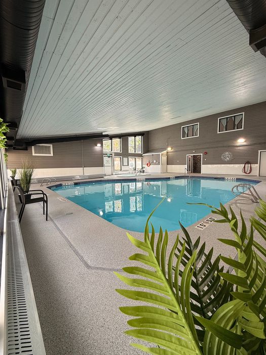 Elegant indoor swimming pool with modern seating, lush plants, and large windows for abundant natural light.