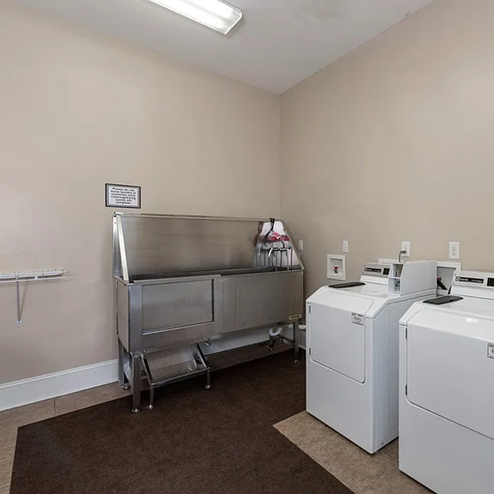 Modern laundry room featuring sleek washers and utility sink with ample lighting.