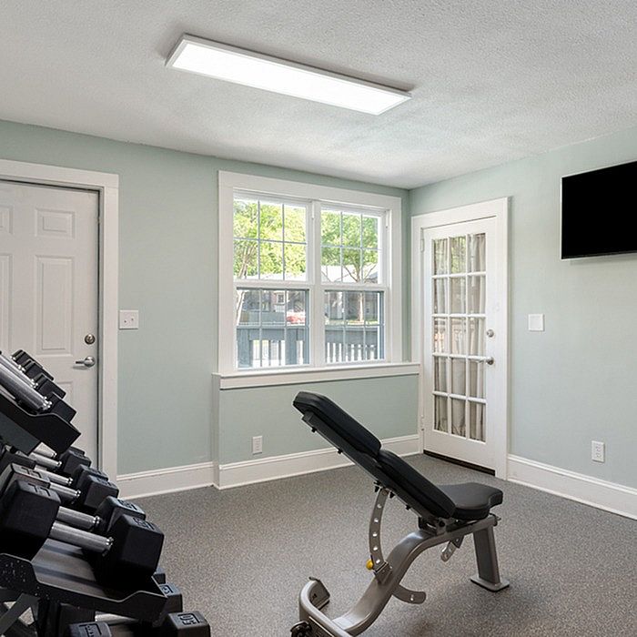 Bright and modern home gym with exercise bench, dumbbells, and large windows allowing natural light.