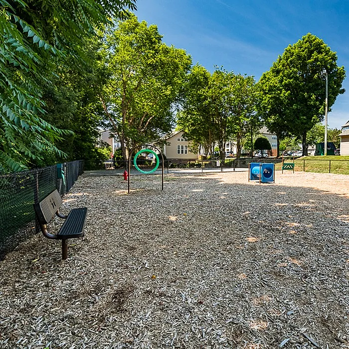 Inviting outdoor play area featuring lush trees, exercise elements, and a cozy bench, perfect for relaxation and recreation.