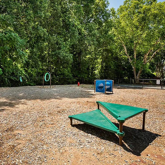 Inviting pet play area surrounded by lush greenery, featuring agility equipment and shaded resting spots.