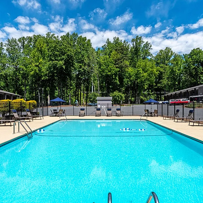 Inviting outdoor pool surrounded by lush trees, offering a serene and refreshing escape.