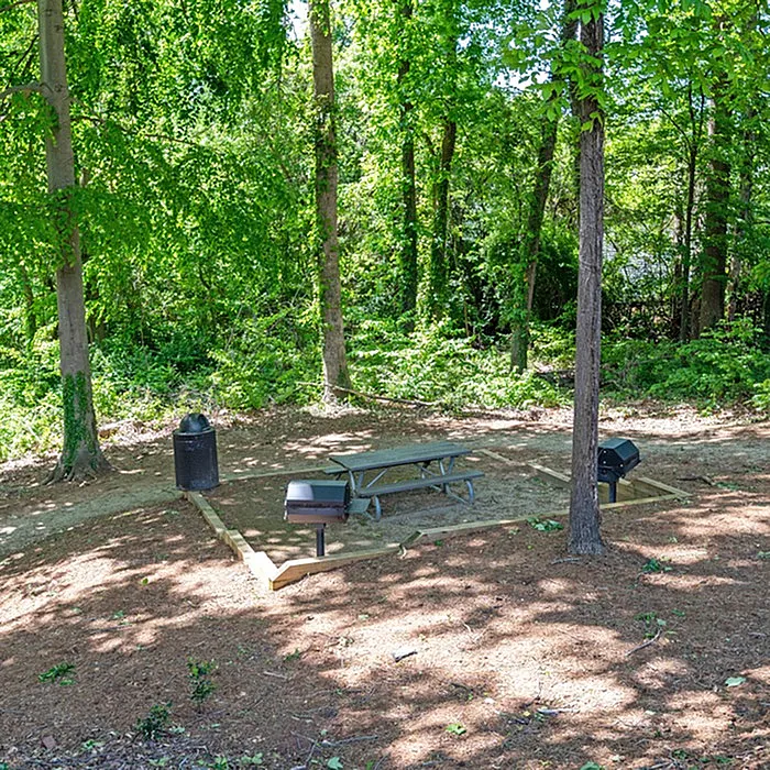 Charming outdoor picnic area with a wooden table, surrounded by lush green trees, perfect for relaxed gatherings and barbecues.