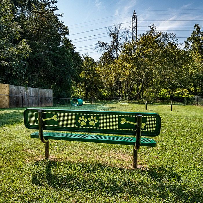 Charming park setting featuring a green bench with paw print and bone designs, perfect for relaxation amidst lush greenery.