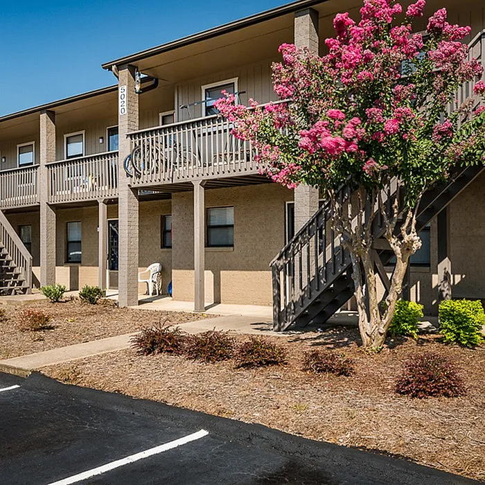 Charming apartment building with vibrant flowering tree, featuring cozy balconies and inviting outdoor space.