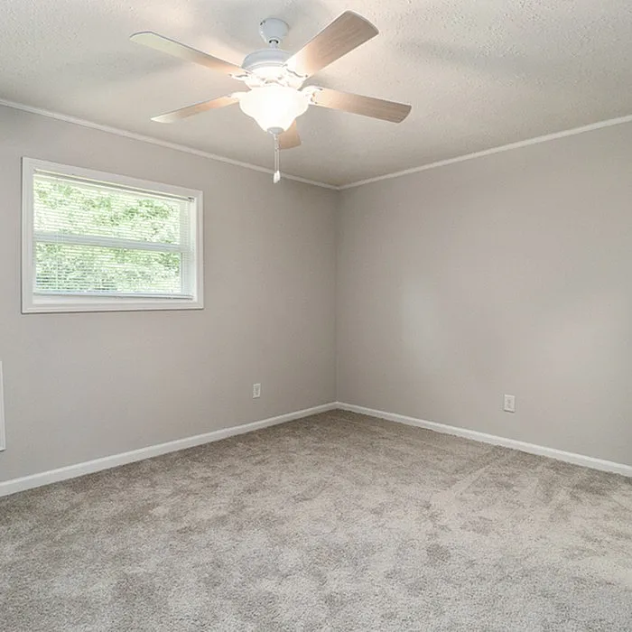 Bright and cozy bedroom featuring plush carpeting, neutral walls, and a ceiling fan for added comfort.
