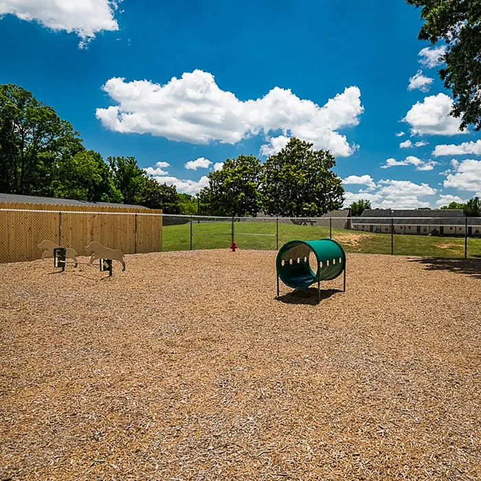 Inviting outdoor dog park with agility equipment under a bright blue sky, perfect for pet-friendly communities.