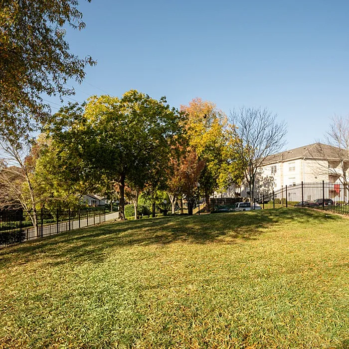 Serene apartment setting featuring a lush green lawn and vibrant trees, perfect for relaxation and outdoor activities.