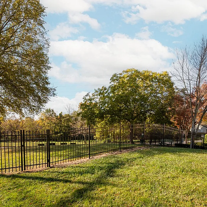 Serene backyard with lush green grass and elegant metal fence under a clear blue sky, perfect for relaxation and outdoor enjoyment.
