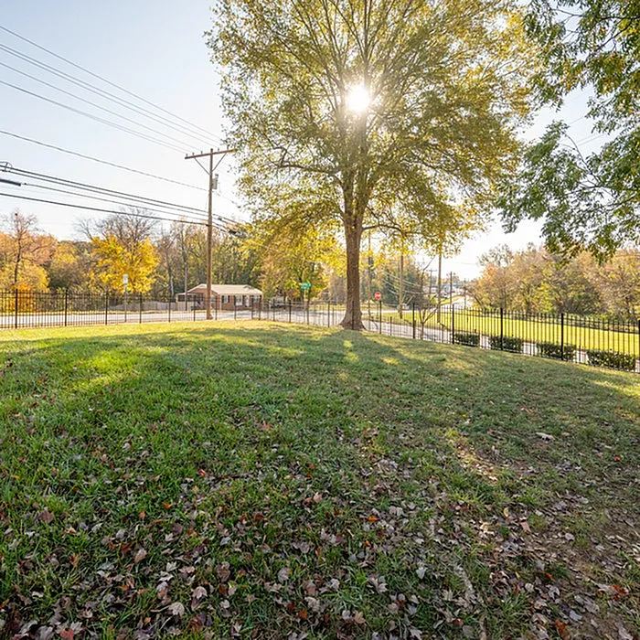 Charming outdoor area with lush green grass, a majestic tree, and serene surroundings ideal for relaxation.